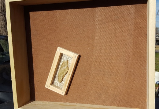 Back of Don't touch my box