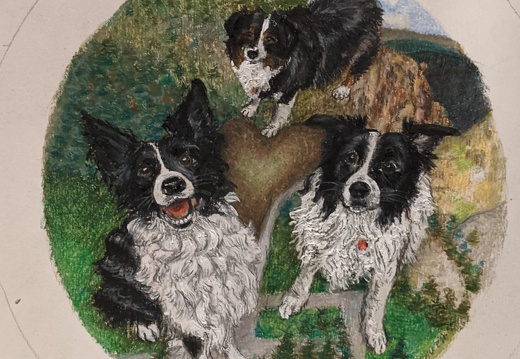 Pet Portrait